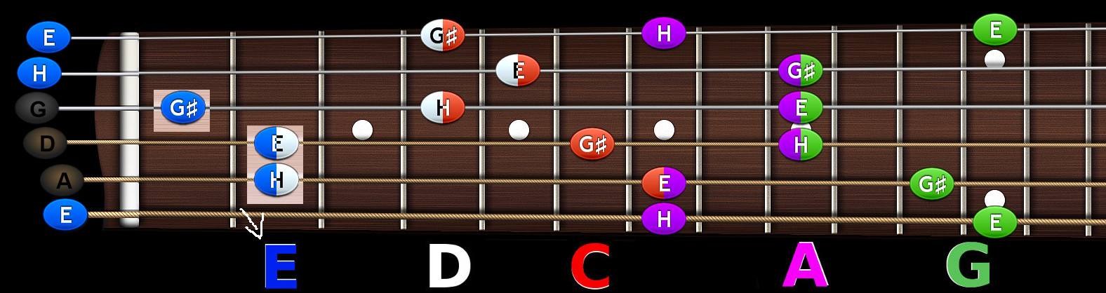 EDCAG_sledx-1